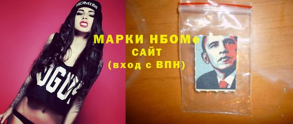 амф Ельня