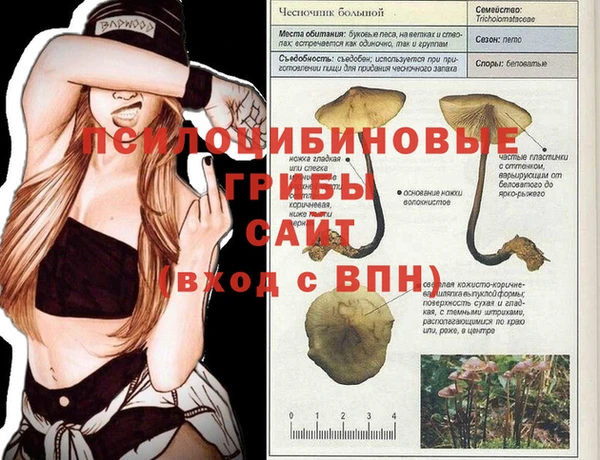 скорость Заволжье