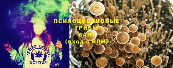 Альфа ПВП Абдулино