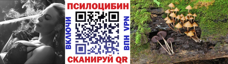 Псилоцибиновые грибы Psilocybine cubensis  где найти наркотики  Зубцов 